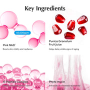 EQQUALBERRY +NAD Peptide Firming & Radiance Cream - 50ml