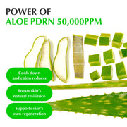 EQQUALBERRY Advanced Aloe Vera Serum with PDRN for Skin Renewal and Soothing 30ml